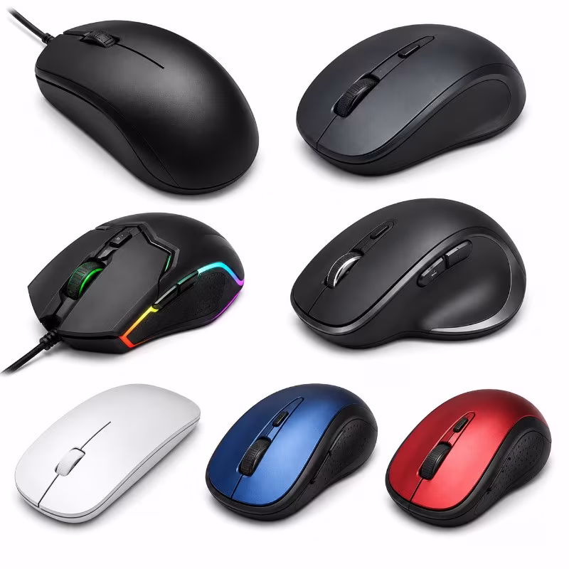 Mouse
