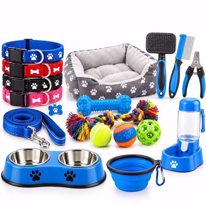 Pet Accessories